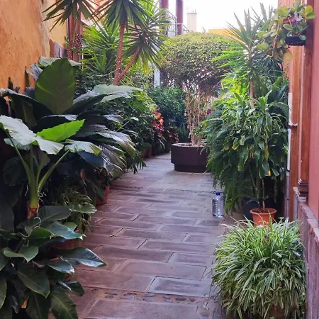 Apartamento Teideplaya Puerto de la Cruz (Tenerife)